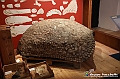 VBS_0919 - Riapre il Museo di Scienze Naturali dopo dieci anni di chiusura